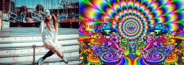 MESCALINE Карталы