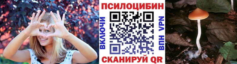 Псилоцибиновые грибы GOLDEN TEACHER  Купить закладки  Рошаль 